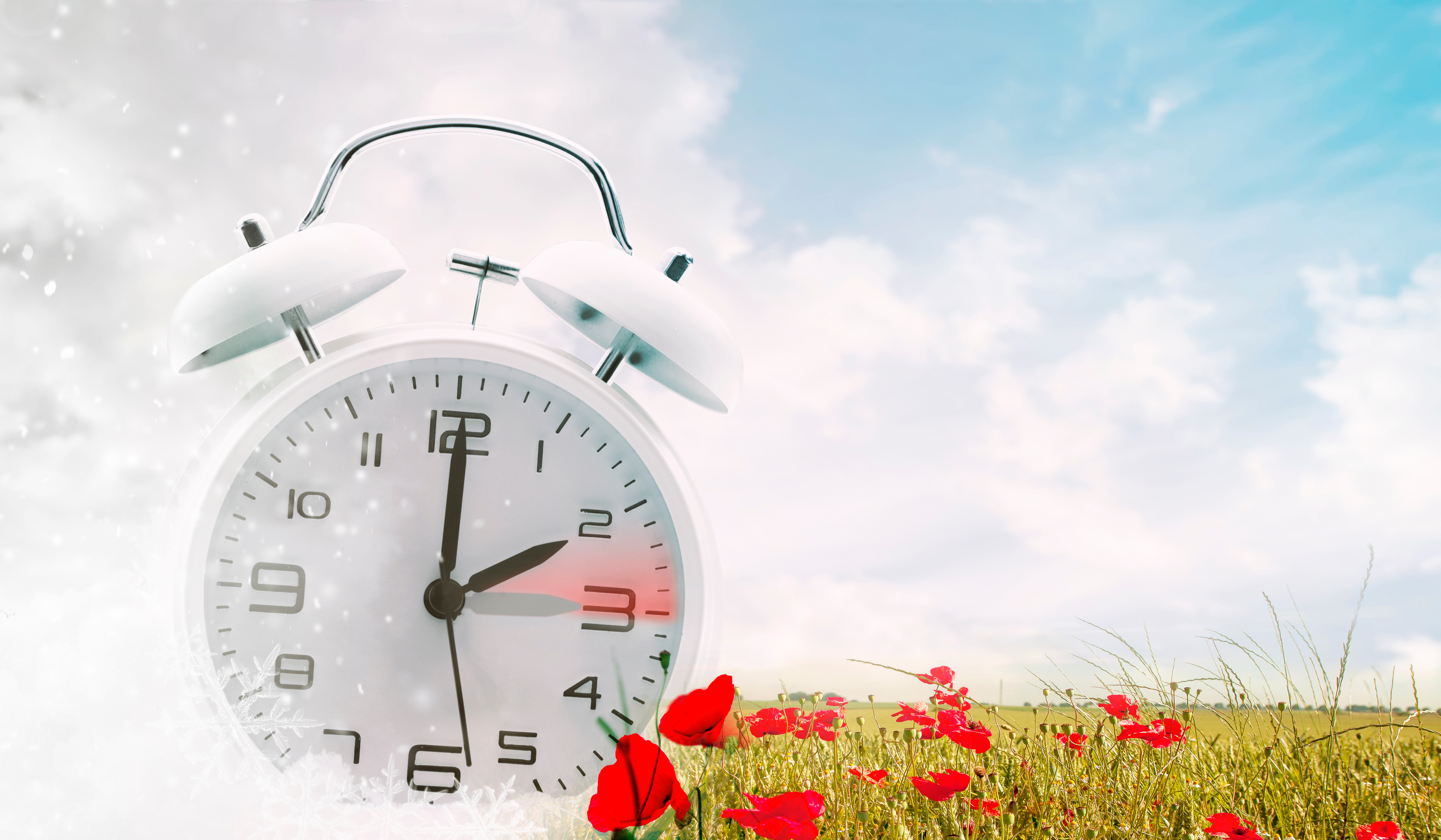 Bild på en klocka ute på en blomsteräng