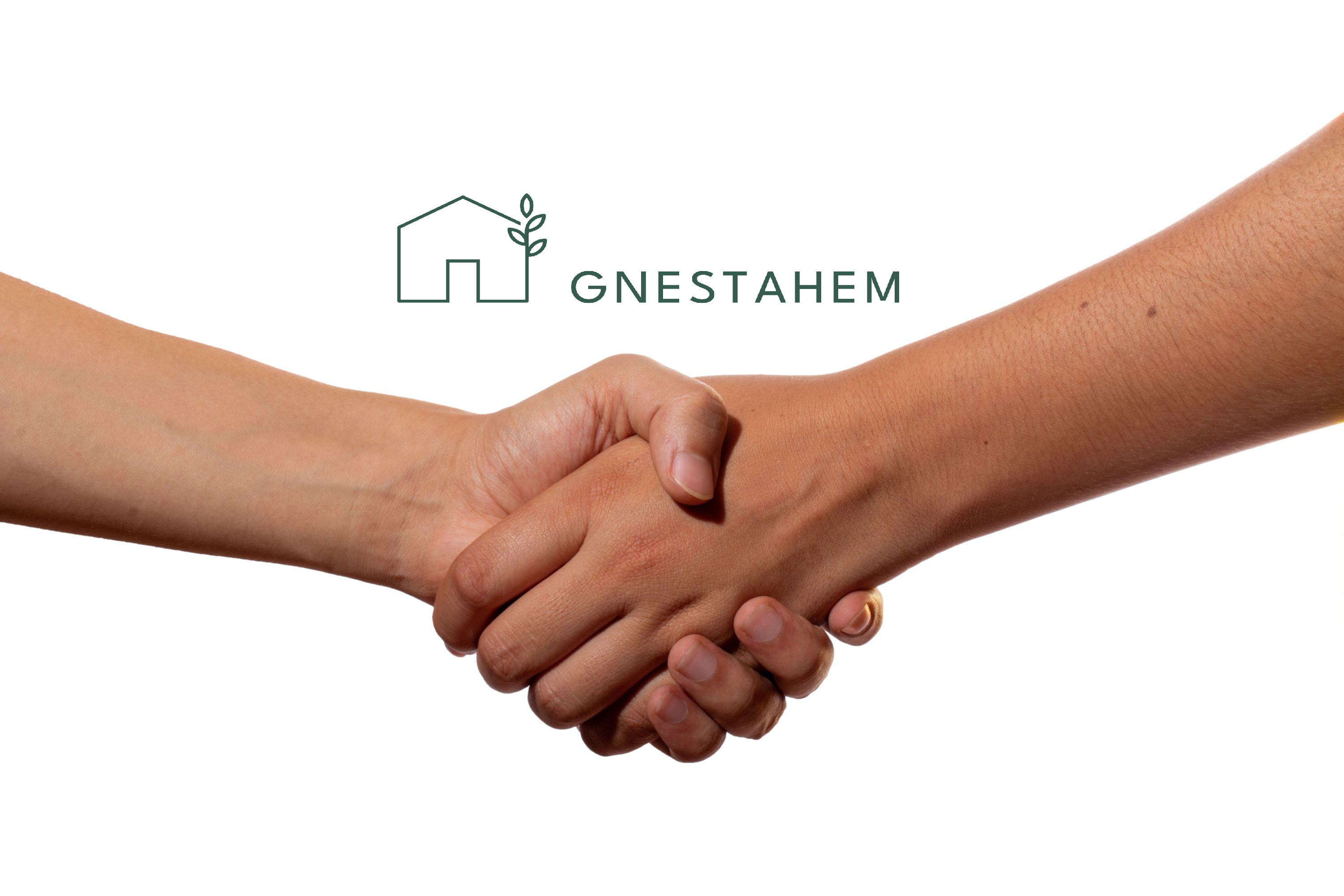 Bild på två händer om skakar hand