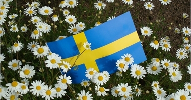 Bild på svenska flaggan liggandes på blommor